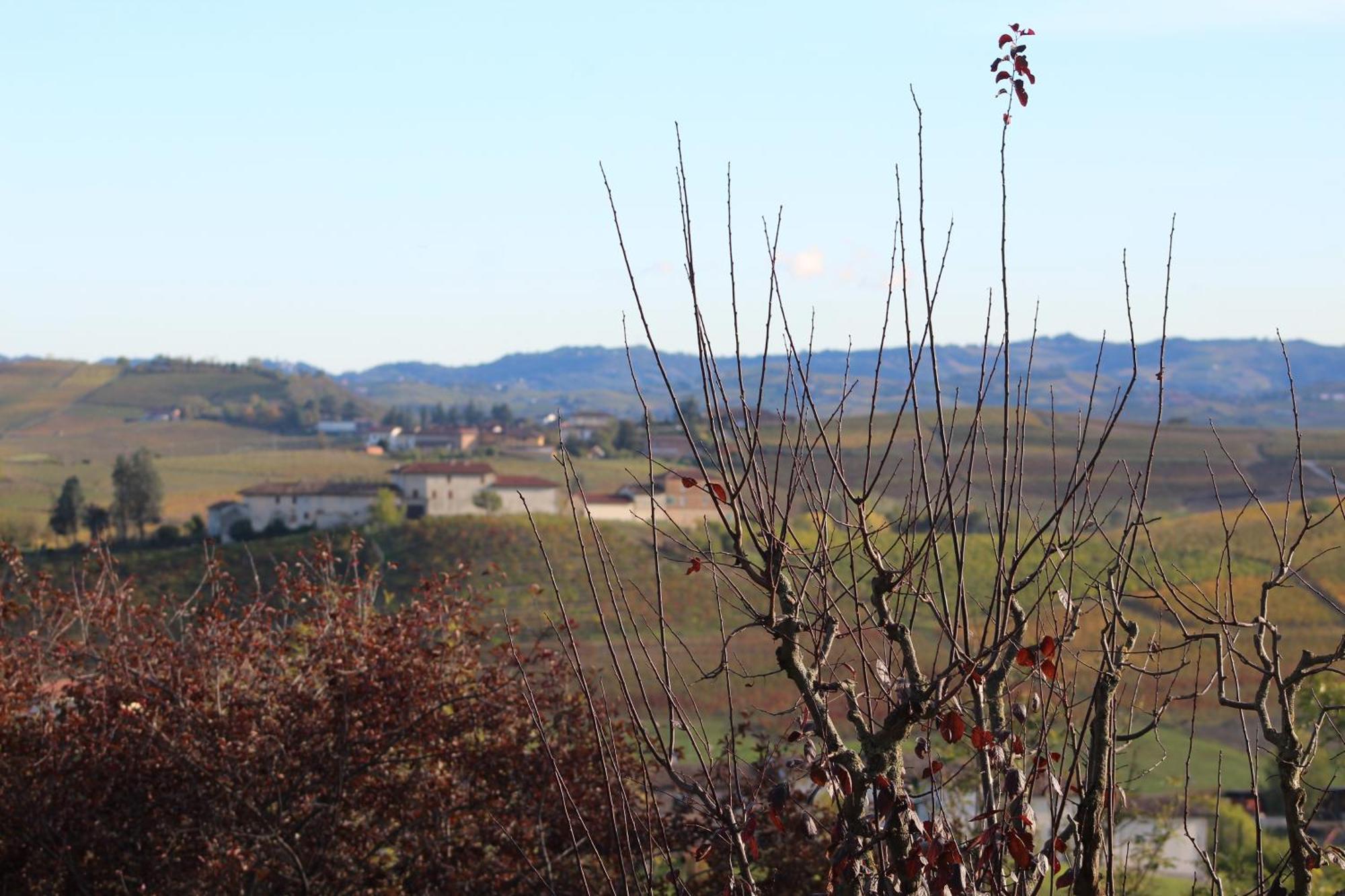 Locanda Del Boscogrande Montegrosso dʼAsti Exteriér fotografie