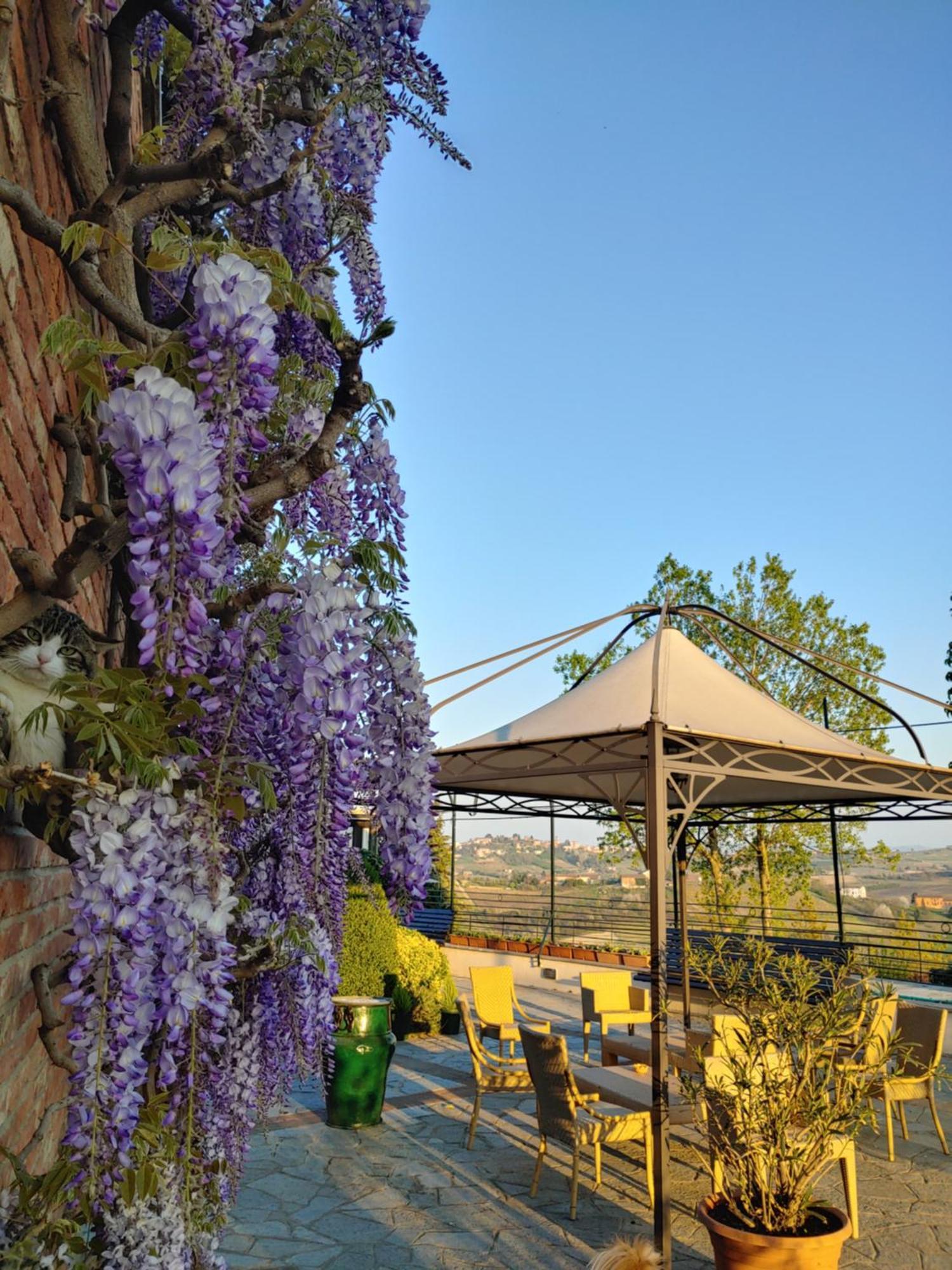 Locanda Del Boscogrande Montegrosso dʼAsti Pokoj fotografie