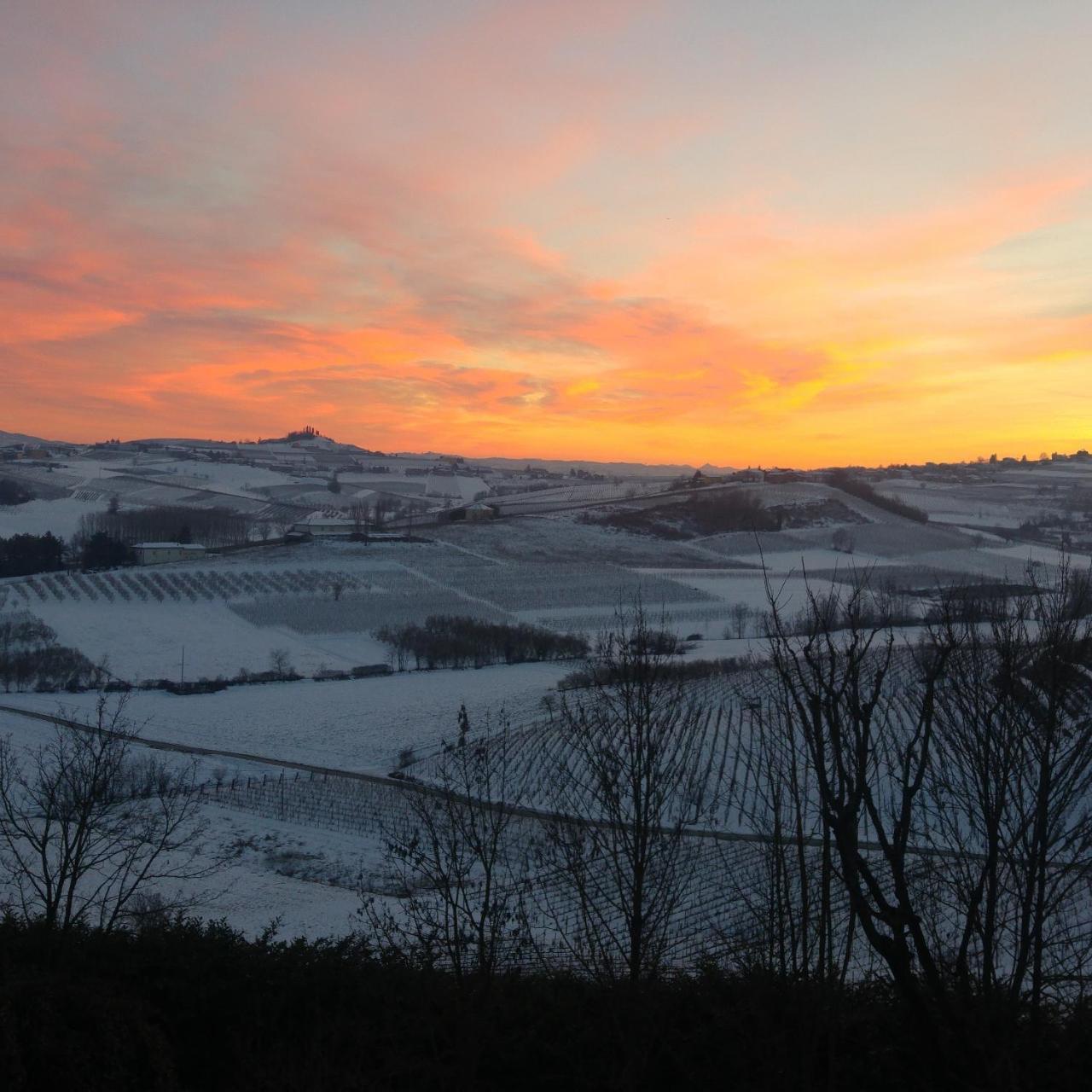 Locanda Del Boscogrande Montegrosso dʼAsti Exteriér fotografie