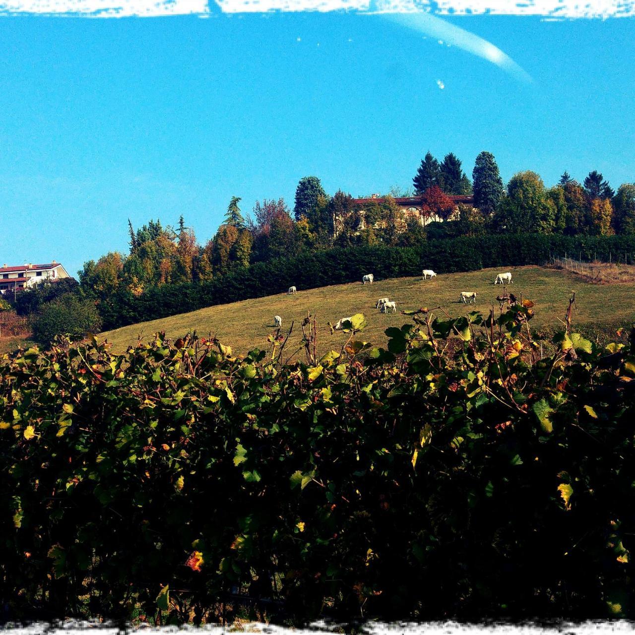 Locanda Del Boscogrande Montegrosso dʼAsti Exteriér fotografie